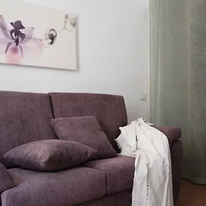 La Bella Di Lajatico